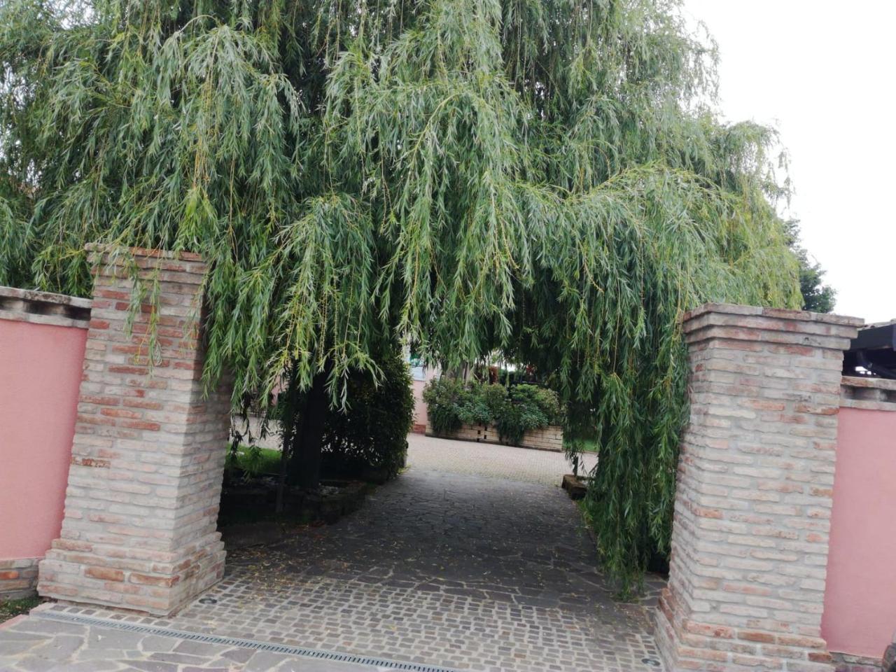 Agriturismo Ferretti Vila Massa Lombarda Exterior foto